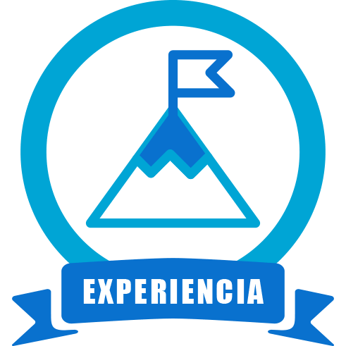 Experiencia