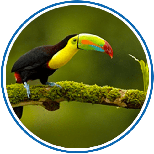 Visa Costa Rica TuVisa